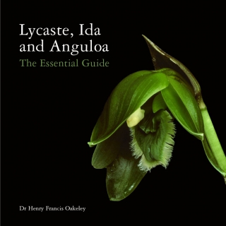 Lycaste, Ida and Anguola - The Essential Guide