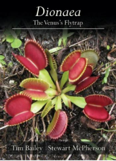 Dionaea - Thr Venus’s Flytrap
